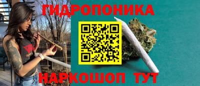 шишки Чебаркуль