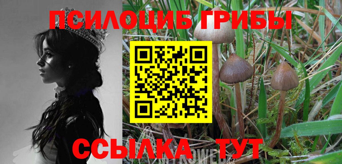 Галлюциногенные грибы Psilocybine cubensis  Вход с VPN  где купить наркотик  Псилоцибиновые грибы прущие грибы  Азнакаево 